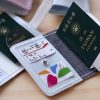 1/3 Passport Holder：圖片 17