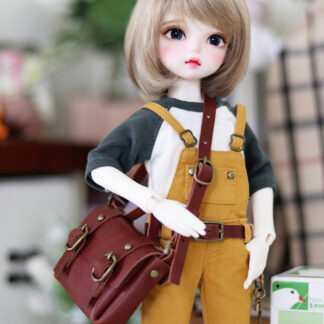 1/6 Shoulder Bag